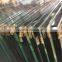 5-25mm all color flat and curved Tempered building glass with BS 6206