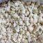 top quality quick frozen cauliflower iqf frozen florets