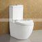 Floor Mounted Two Piece Ceramic Bathroom Toilet