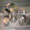 ultrasonic test industrial forged gr5 titanium disc ASTM B381