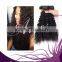 Wholesale popular with competitive price virgin Curly hair extension