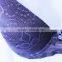 OEM service ladies underwear bra new design