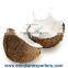 Healthy Coconut for Sale