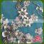China Manufacturer Selection for Export Soft Applique Embroidery Fabric