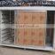Healthy Automatic Green Bean Sprouting Machine for Sale