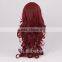 Supply top grade human hair wigs