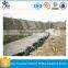 Drainage cell/sidewalk grid/geocell for wall cushion protection