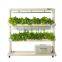 Indoor Garden_LED Hydroponic Cultivator