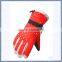 Dot Pattern Lady Ski Glove