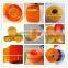 Anti Insect(yellow) Pvc Strip