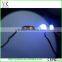 CE UL 2014 christmas decoration 12v led string light