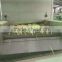 Frozen french fries production line for sale