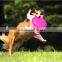 High quality silicone foldable pet dog frisbee , colourful pet training fetch toy