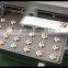 LH2860-11 cake cookie machine with different shape