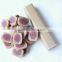 pro plan (dog treat pieces shaped bull eyes)