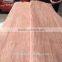0.30mm natural keruing face veneer / gurjan face veneer for India market