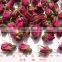 Rose buds