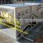 chicken feather scaling& plucking machine/ chicken plucker