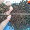 DAP Fertilizer, Agriculture Use DAP Fertilizer, Manufacturer DAP Fertilizer