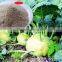 Pingxiang HAY 80% Amino acid powder base fertilizer organic nitrogen