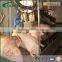 Stainless Steel Whole Machine and Equipment For Pig Slaughterhouse and Slaughtering Line