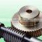 Worm and gear sets for Packaging Machinery parts