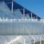 BaoLiDa high quality PC covered greenhouse hot-dip galvanized steel framework structure greenhouse