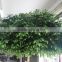 ornamental plants artificial banyan tree large outdoor artificial trees in factory price