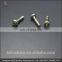 All different types sizes materials ball wood drywall screw