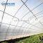 clear transparent roof polyethylene cover film plastic sheeting for greenhouse