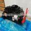 Dongfeng Cummins Diesel Engine 6BTA5.9-C175 For Sale