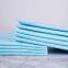 100/50/40/20pcs/bag  Blue film pet dog pee mat strong absorption