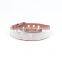 Bling bling colorful crystal pet collar dog collars