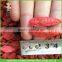Top quality dried wolfberry of 500 grains per 50 gram for export