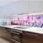 Customized 6mm printed glass splash back kitchen sink glass splashback