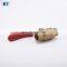 BT1060 level wholesale standard pn40 brass ball valve
