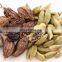 Cardamom with price from Vietnam