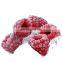Sinocharm BRC A approved IQF Frozen raspberry whole Frozen raspberry