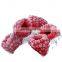 Sinocharm BRC A approved Red IQF Frozen raspberry whole Frozen raspberry