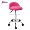 Modern Well-designed Colorful Low Back Stainless Salon Chair