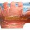 Latex Gloves Powder Free / Disposable Food Prep Cooking Gloves / Kitchen Food Service Cleaning Gloves, Bagease, Bagplast