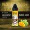 Breze Stiik Fit Disposable Ecigarette Vape Juice Bottle Disposables 6000 Puff with Cap Mesh Coil Rechargeable