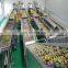 Mini apple juice production line for sale