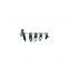 Shacman F2000/L3000/M3000/F3000/X3000 Truck Cab Spare Parts Dashboard Dz13241162215 Plastic Push Pin