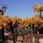 Fiberglass Fake Seaweed Trees - Ocean Park & Resort Landscape Set,lifelike artificial large tree
