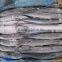 seafrozen pacific saury wr