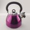 1.8L Professional and unique coffee kettle with full color coating tea pot
