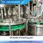 Automaitc Carbonated Bottle Filling Machine / Plant