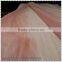 rotary cut burckella wood veneer whith cheap price for 0.5mm