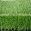 School football field use C shape sport grass